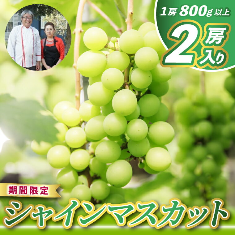 【ふるさと納税】レストランのプロが育てる！シャインマスカット 2房 (大粒800g以上/房) ＜皮ごと食べられる極上ぶどう＞(KAE-15)