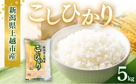新潟県上越市産 コシヒカリ 5kg 5キロ こしひかり お米 精米 ご飯