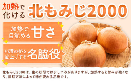【先行予約】玉ねぎ たまねぎ 玉葱 選べる 約10kg サイズ混合《2026年10月上旬から11月上旬頃出荷》嶋崎農園 送料無料 北海道 本別町 北海道 十勝 本別町産 オニオン カレー サラダ スー