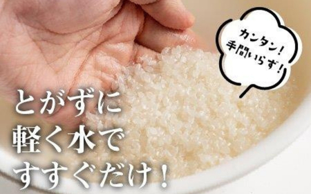 先行予約 魚沼産コシヒカリ 無洗米 30kg 新潟県 |おこめ 5キロ×6回 毎月 定期便 特A評価 無洗