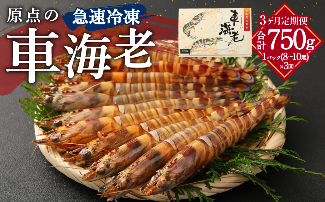 
                  【3ヶ月定期便】原点の車海老「急速冷凍」250g（8～10尾）1パック 合計750g 車海老 車えび くるまえび 急速冷凍 新鮮 お刺身 天ぷら 塩焼き 熊本県産 【2026年10月上旬より月1回発送】
                
