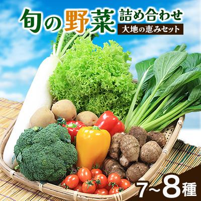 ふるさと納税 芝山町 【空の駅 風和里しばやま】旬野菜の詰め合わせ「大地の恵みセット」7〜8種