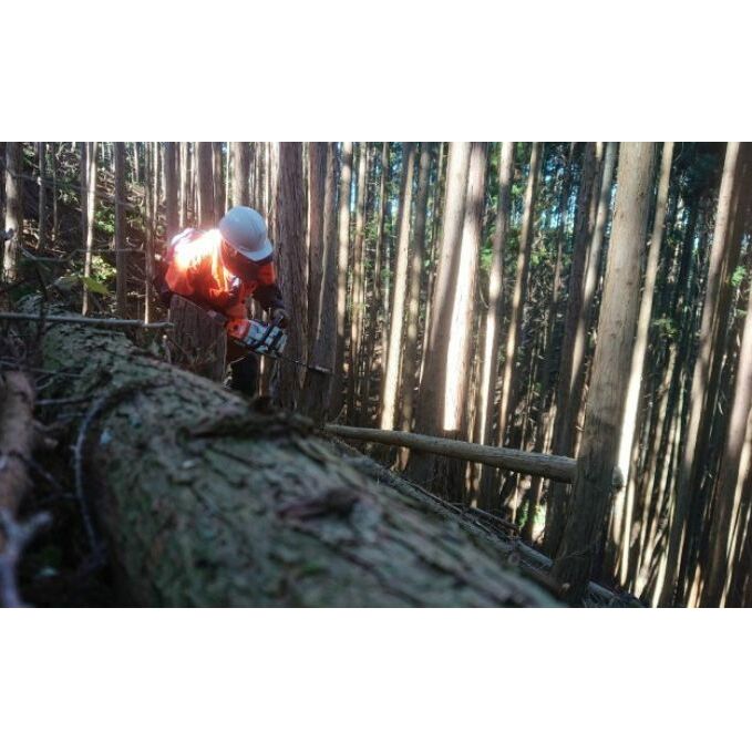 【アウトドア～キャンプに！～】薪（広葉樹：ナラ）細割り 約13kg・30cm_イメージ4