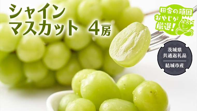 【2026年7月より発送開始】シャインマスカット 4房  （茨城県共通返礼品 [ぶどう]：結城市産） 田舎の頑固おやじが厳選！ マスカット 種なし ギフト 高糖度 大粒 甘い 美味しい フルーツ [BI292-NT]