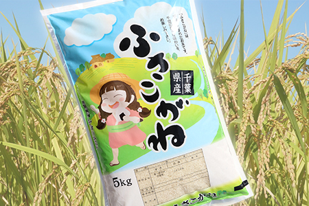 令和7年 千葉富津産「ふさこがね」5kg精米　かじや米店