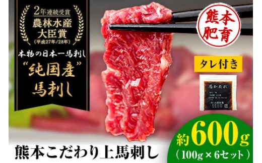 
                  上赤身馬刺し100g×6セット(10ml×6袋)《3-7日以内に出荷予定(土日祝除く)》熊本県 菊池市 馬刺し 国産 赤身 送料無料 肉 タレ付き 600g 牛肉よりヘルシー 
                