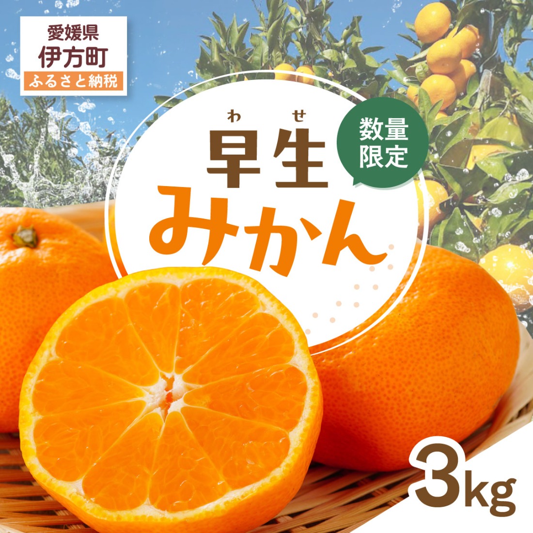 【先行受付】【数量限定】早生みかん（生果）3kg（2026年11月上旬より順次発送）IKTQ015