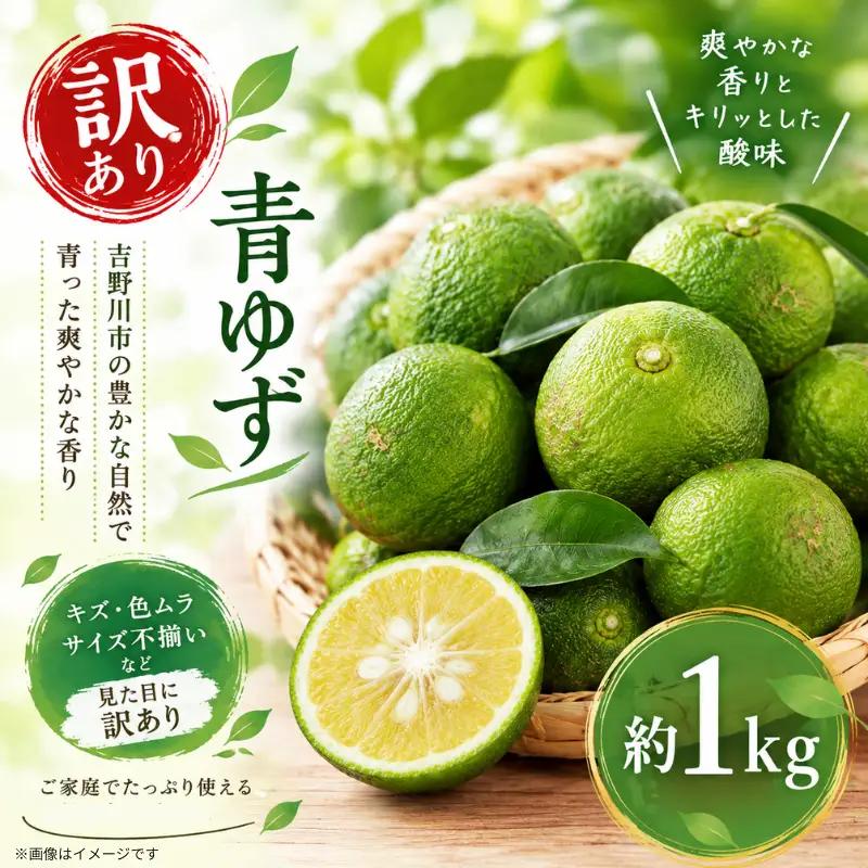 訳あり 青ゆず 1kg 【 柚子 】