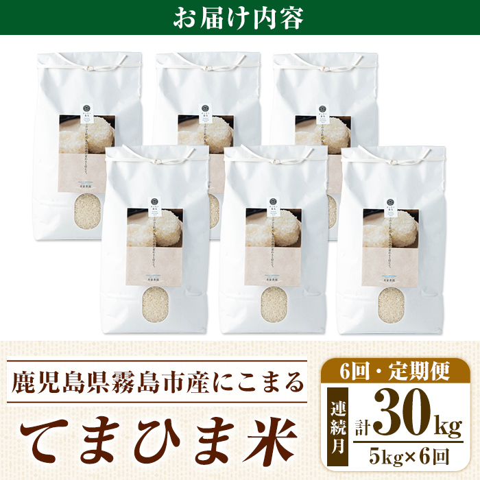 K-198-F 【6回定期便】＜令和7年産新米 先行予約受付中！2025年12月以降順次発送予定＞てまひま米(品種:にこまる)(計30kg：5kg×6回)【末蜜農園】霧島市 お米 精米 白米 米 こめ