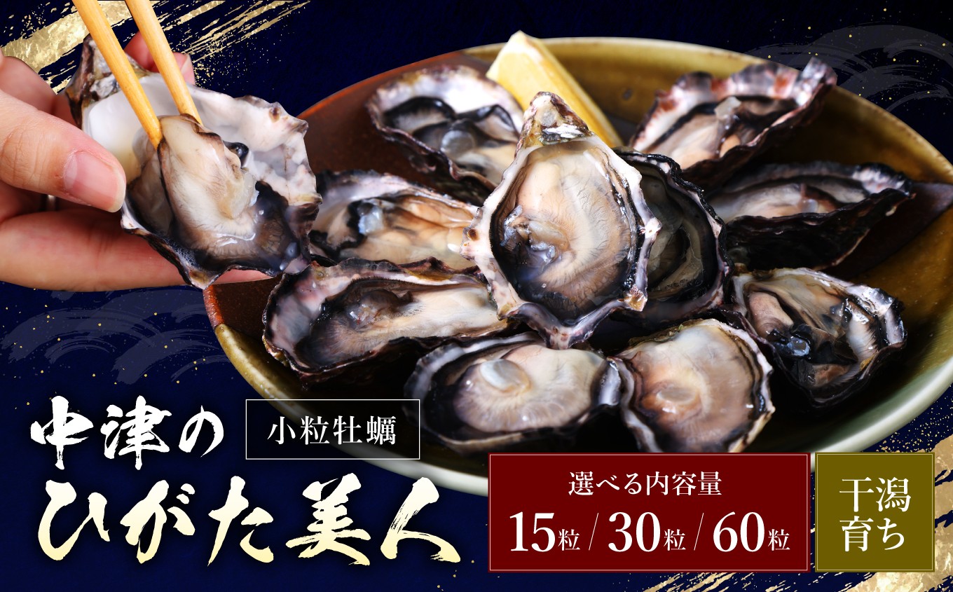 
            【期間限定】【選べる内容量】 牡蠣 15粒 / 30粒 / 60粒 中津ひがた美人 養殖 | 冷蔵 かき オイスター 酒の肴 つまみ おかず 大分県産 九州産 国産 大分県 中津市
          