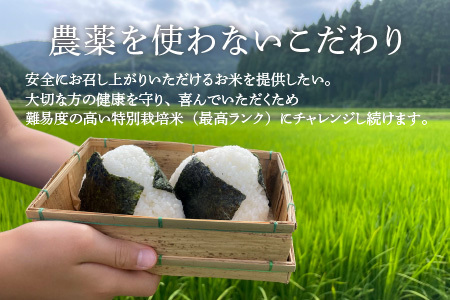 【先行予約】【令和6年産】《定期便6回》コシヒカリ 精米 5kg（計30kg） 特別栽培米 化学肥料不使用  ＜温度と湿度を常時管理し新鮮米を出荷！＞ / 伊与衛門農園の特別栽培米 高品質 鮮度抜群 