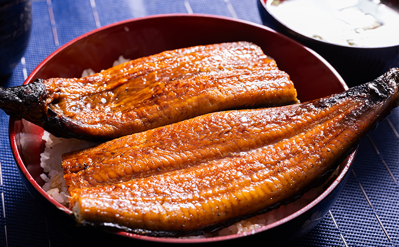 高知県産養殖うなぎ蒲焼 20尾(合計約4400g)- 土用の丑の日 鰻 ウナギ 蒲焼き かば焼き かばやき うな丼 うな重 ギフト お中元 御中元 父の日 お礼 御礼 感謝 プレゼント 送料無料 須崎