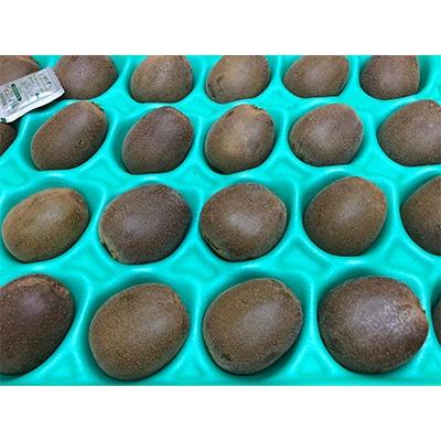 ふるさと納税 観音寺市 香川県オリジナルキウイ「さぬきエンジェルスイート」約2.4kg
