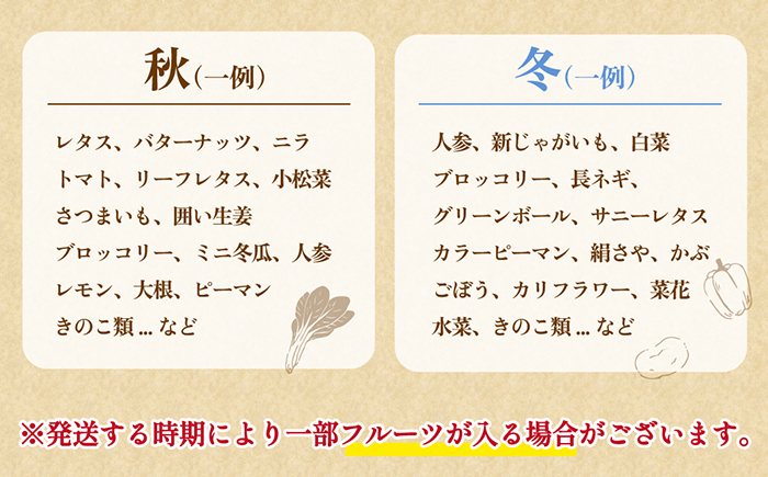 【12回定期便】毎月連続お届け 新鮮 「旬の野菜・フルーツ」 詰め合わせ セット（10品〜12品）/ 野菜 定期便 やさい 定期便 野菜セット やさいセット 春野菜 夏野菜 秋野菜 冬野菜 旬新鮮 /