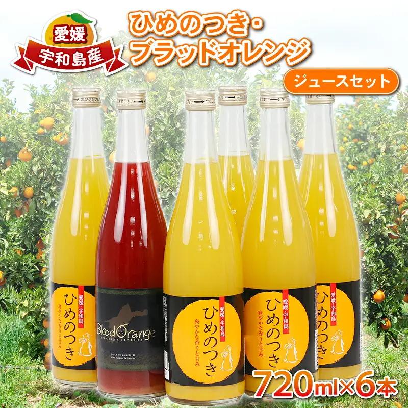 柑橘 ジュース ひめのつき ブラッドオレンジ セット 720ml×6本 えひめ南農業協同組合直販センター JA  柑橘柑橘柑橘柑橘柑橘柑橘柑橘柑橘 H020-009010