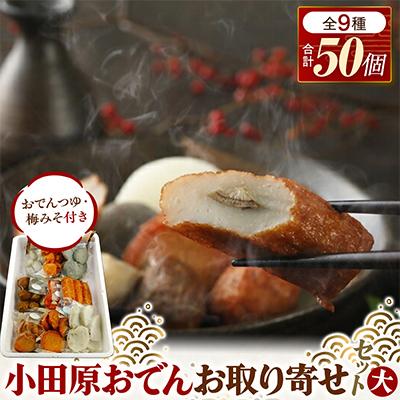 ふるさと納税 小田原市 小田原おでん　9種50個入り　(106大)