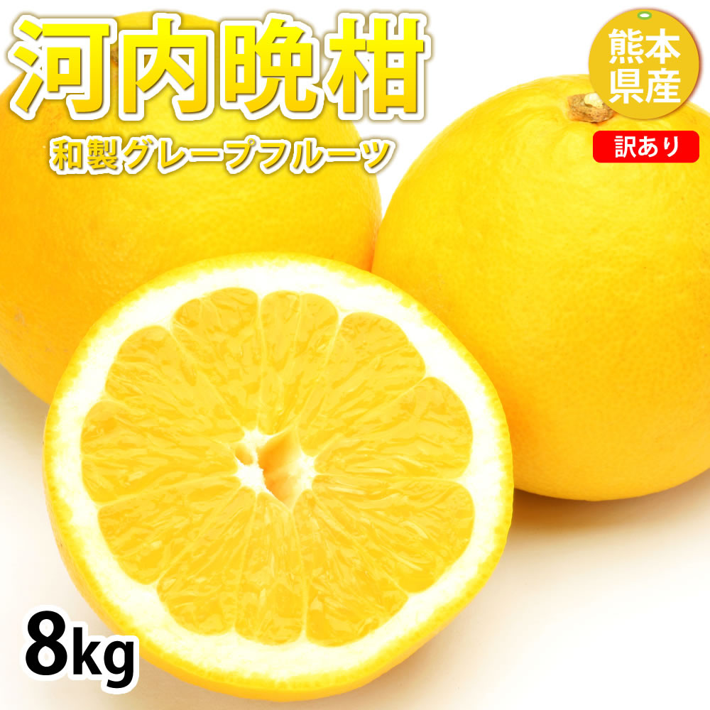 
                  訳あり 河内晩柑 8kg 晩柑 ばんかん 柑橘類 果物 フルーツ 【2026年7月下旬迄発送予定】
                