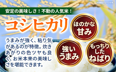 こだわりのお米 コシヒカリ 白米 10kg 令和7年産 - 山形県 飯豊町産 米 精米 銘柄 ブランド米 長沼ファーム【価格改定】