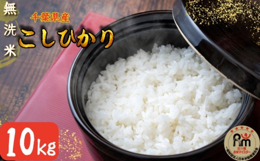 無洗米 コシヒカリ 10kg(5kg×2) 千葉県産こしひかり 根本商店