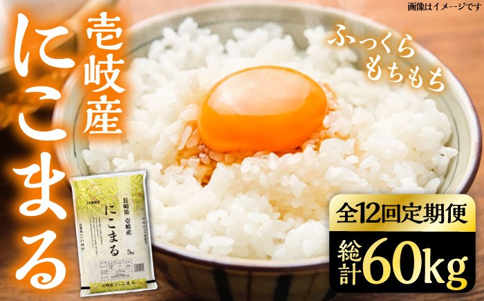 
            【先行予約】【全12回定期便】壱岐産米 にこまる 5kg【2025年11月中旬以降順次発送】 《壱岐市》【壱岐市農業協同組合】 [JBO055] 米 お米 ご飯 ごはん 白米 お弁当 新米 朝食 常温 定期便     200000 200000円 20万円
          