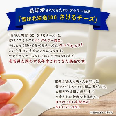 【2ヵ月毎定期便】雪印北海道「さけるチーズプレーン」1箱12袋入り全3回【配送不可地域：離島】【4014036】