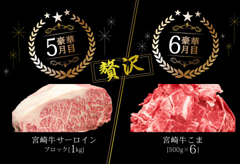 宮崎牛だけの 贅沢 定期便 6ヶ月 コース |牛肉 牛 肉 ヒレステーキ フィレ ヘレ リブロースステーキ サーロインステーキ モモ焼肉 モモスライス モモステーキ 赤身サイコロ バラ焼肉 ロース焼肉