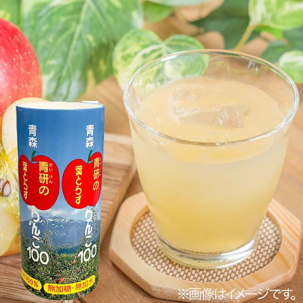 りんごジュース【葉とらずりんご100】195g 30本入 1箱