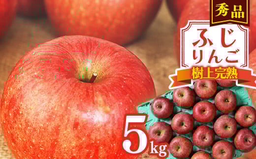 
            樹上完熟 りんご（ふじりんご） 5kg 秀品 【2026年1月以降発送】 2025年産 令和7年産 山形産 山形県産　017-B-NG008
          