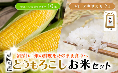 とうもろこし 米 セット サニーショコラライラ 10本 4kg 先行予約 | とうもろこし