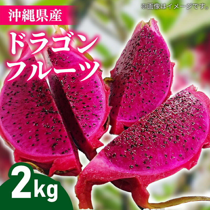 【ふるさと納税】【2025年発送】熱帯果樹生産組合の完熟ドラゴンフルーツ 【レッドドラゴンフルーツ】　約2kg（3～7玉）- 赤 果肉 レッド ピタヤ スーパーフルーツ 人気 抗酸化作用 ベタシアニン おすすめ 国産 沖縄県 八重瀬町