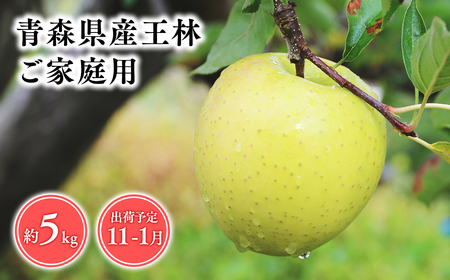 2025年産 １１月～１月発送　【訳あり】家庭用王林5ｋｇ　【そと川りんご園・１１月・１２月・１月・青森県産・平川市・りんご・王林・5ｋｇ・訳あり・家庭用】りんご リンゴ 林檎 りんご 青森 平川市産 