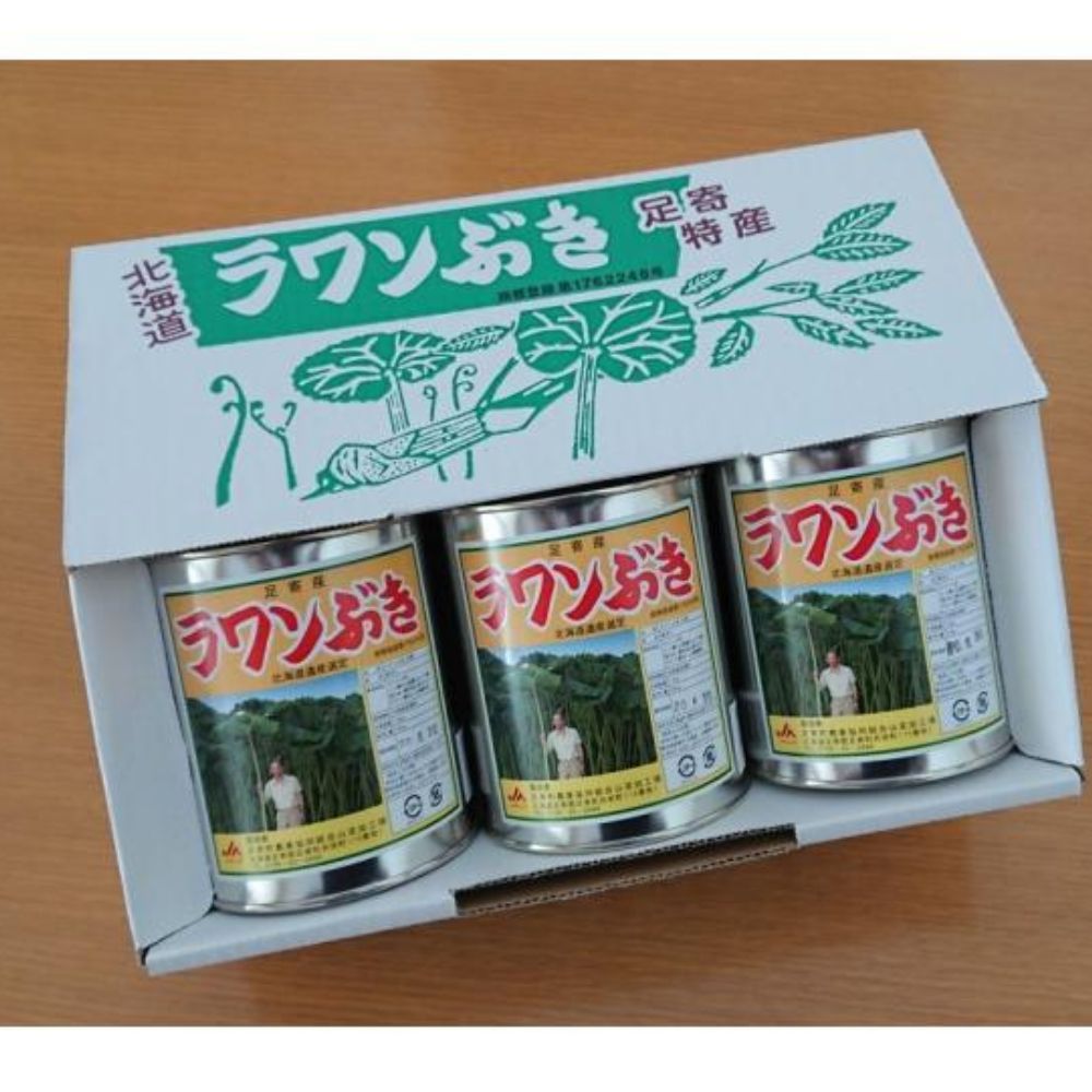 【ふるさと納税】ラワンぶき水煮缶 500g×3缶《足寄町》【NPO法人あしょろ観光協会】ふき フキ ラワンブキ 螺湾ぶき 山菜 水煮 煮物 おでん セット 小分け ギフト 足寄町産 北海道産 道産 あしょろ 北海道[BEAE010]