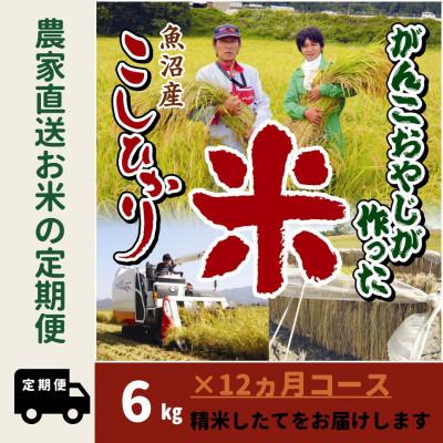 ふるさと納税 南魚沼市 【毎月定期便】がんこおやじが作った南魚沼産コシヒカリ白米6kg(3kg×2)全12回