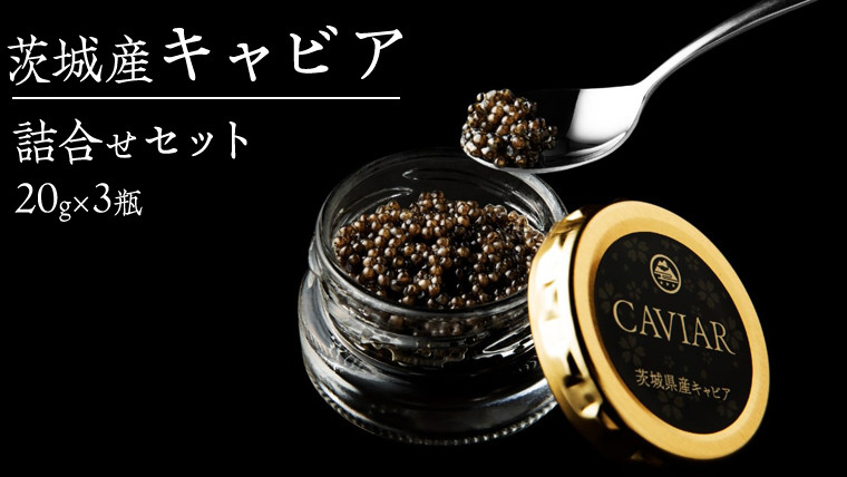 
                  キャビア 詰め合わせ セット 20g×3個 キャビア  高級食材  記念日 誕生日 世界三大珍味 国産キャビア 茨城県産 茨城 [AI001sa]
                