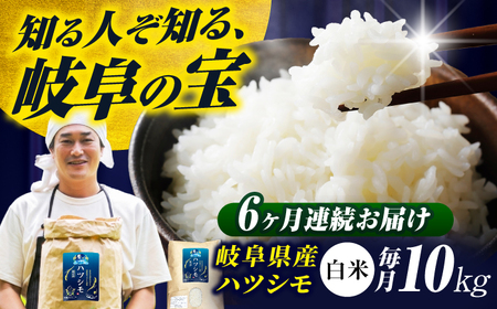 【6回定期便】【令和7年度産】白米ハツシモ 10kg 白米 10kg 白米定期便[ANHI006]