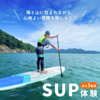 SUP 体験 大人1名様分 体験ツアー 石巻市 雄勝湾 海