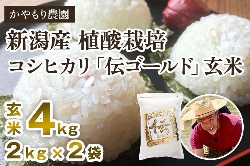 
            【令和6年産新米】新潟産コシヒカリ「伝ゴールド」真空パック 玄米4kg（2kg×2） 南麻布の高級料亭で提供される極上米 かやもり農園
          