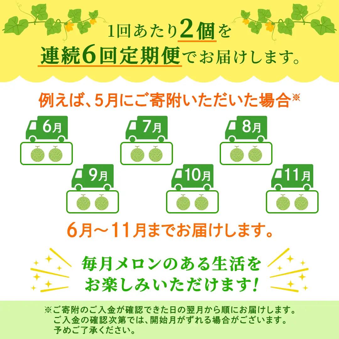 【定期便】 赤肉アールスメロン 2玉 × 6か月連続