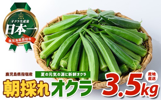 
                  【2026年 発送】夏の元気の源! 朝採れ新鮮いぶすきオクラ約3.5kg(指宿促成青果/IB092-002) 野菜 夏野菜 旬 特産 夏 新鮮 オクラ いぶすき 鹿児島 指宿市 お福分け おすそ分け
                