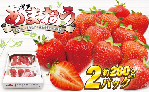 
            【2026年3月下旬より順次発送】博多あまおう2パック　約560g[G2211]
          