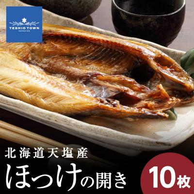 ふるさと納税 天塩町 ☆脂乗り抜群!天塩産ほっけの開き10枚セット