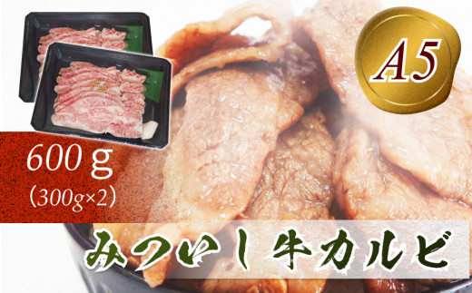 
北海道産 黒毛和牛 みついし牛 A5 カルビ 計 600g ( 300g × 2 ) 和牛 牛肉 三石牛 焼肉 バーベキュー BBQ
