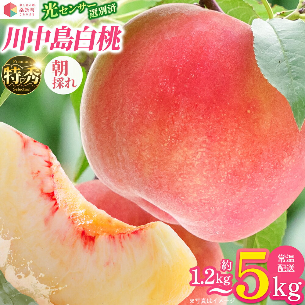 【ふるさと納税】【選べる内容量】もも【川中島白桃・2026年産】特秀 1.2kg/1.5kg/3kg/5kg　桑折町産 JAふくしま未来 桃 / モモ 果物 フルーツ 旬 甘い 甘み ジューシー 果肉 果汁 朝採り 新鮮 フレッシュ デザート 産地直送 福島県 【07301-0098・100・0138・0227】