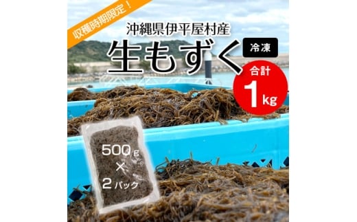 ＜収穫時期限定!＞冷凍 生もずく　1kg(500g × 2パック)【1707803】