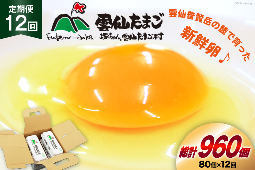 BI036 12回 定期便 雲仙たまごLサイズ  80個 (10個入り×8パック)(75個＋割れ補償5個入り) [ 卵 たまご 生卵 鶏卵 赤卵 玉子 新鮮 塚ちゃん雲仙たまご村 長崎県 島原市 ]