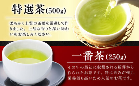 舳五山茶　特撰茶・一番茶セット 計750g / 茶 ちゃ お茶 おちゃ 緑茶 りょくちゃ 日本茶 茶葉 / 御嵩町 / 舳五山茶園委員会[AVAD002]