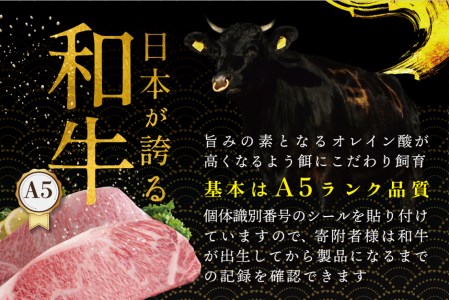 焼肉！A5 黒毛和牛 500g 焼肉用 「 名人和牛 」（カルビ・モモセット 250g×各1P）【be066-0645】牛肉 国産 和牛 焼き肉（ 牛肉 グルメ セット 焼肉 北海道産牛肉 道産牛肉 