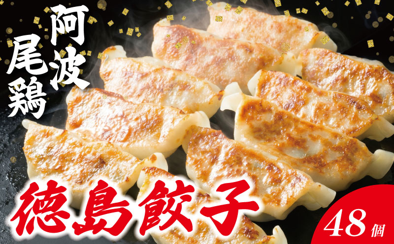 餃子 阿波尾鶏 48個 ぎょうざ ギョーザ 鶏肉 焼き餃子 野菜 餡 キャベツ 白菜 弁当 中華 冷凍 冷凍餃子 お酒 ビール 居酒屋 徳島県 阿波の頂