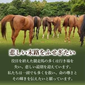 引退馬 余生支援 100,000,000円コース 返礼品なし【R01535】