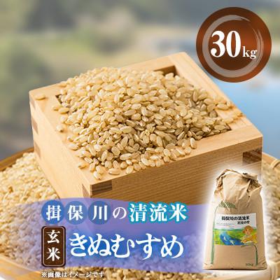 ふるさと納税 太子町 令和6年度　揖保川の清流米(きぬむすめ30kg)【玄米】